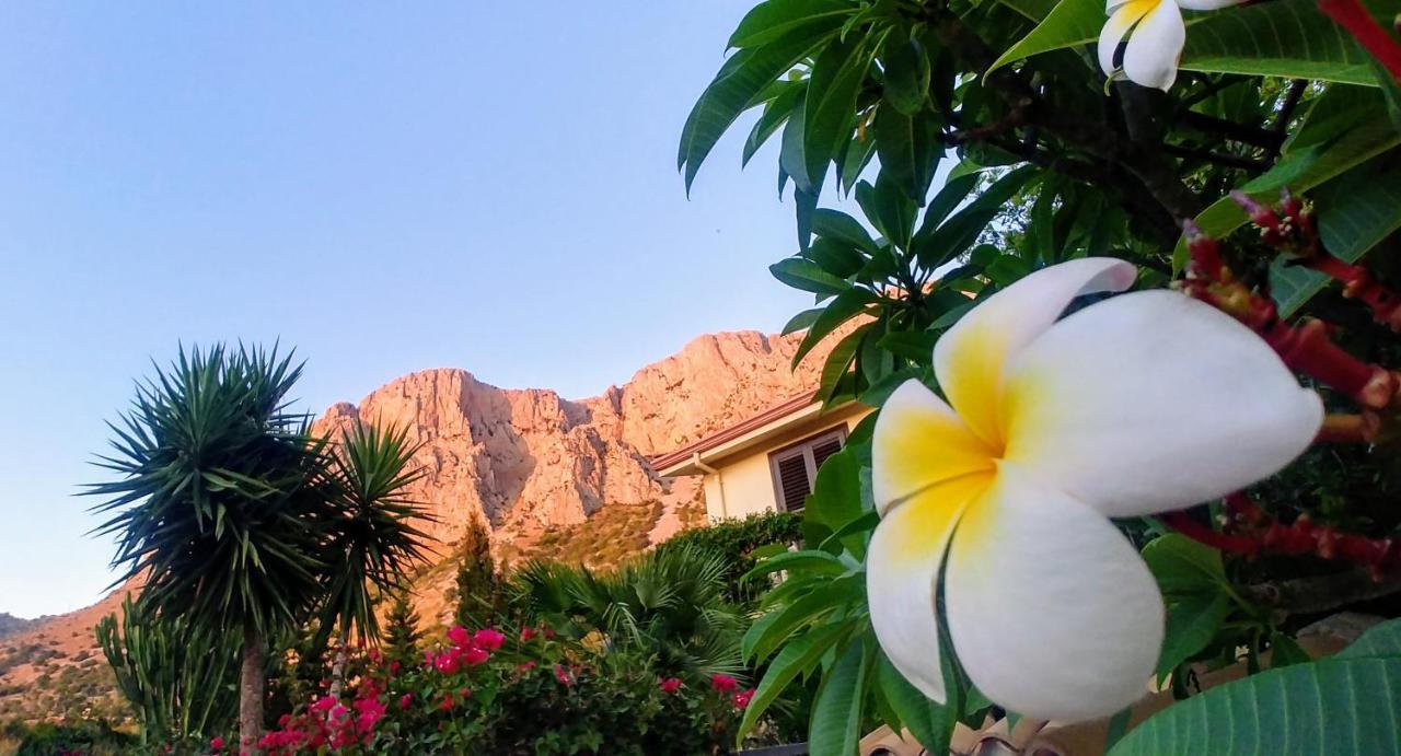 Ciuri Ri Zagara Bed & Breakfast Cinisi Dış mekan fotoğraf